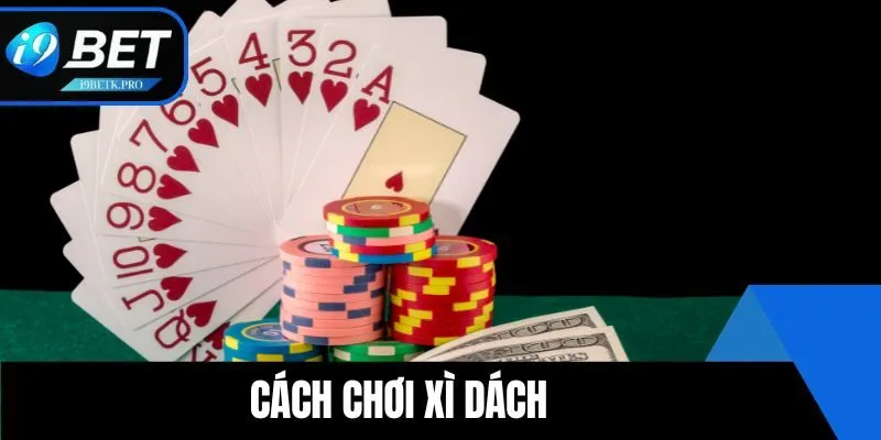 Cách Chơi Xì Dách Chuẩn Xác Cho Thành Viên Mới Bắt Đầu