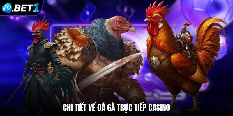 Chi tiết về đá gà trực tiếp casino